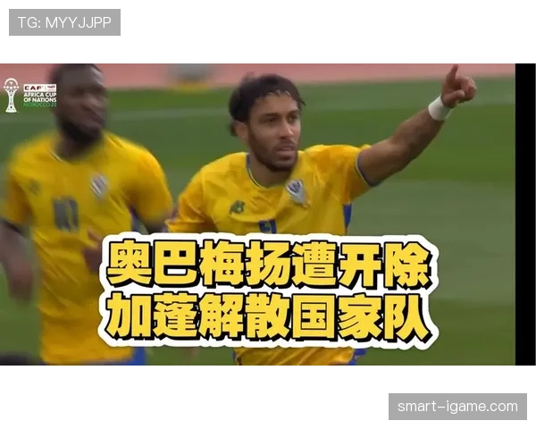 非洲国家杯事件最新调查进展